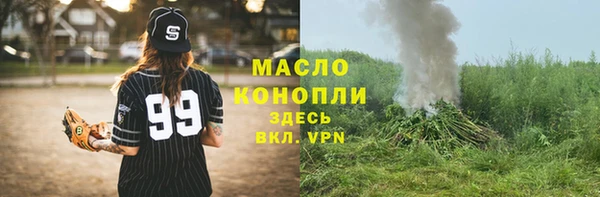 винт Ельня