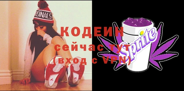 винт Ельня