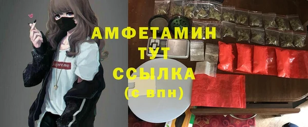 винт Ельня