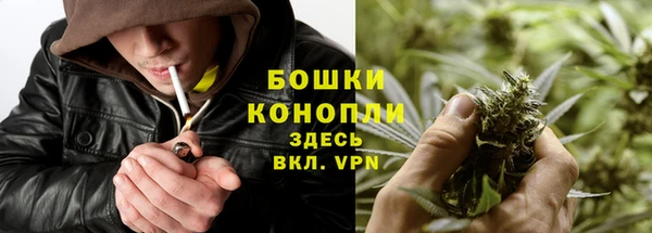 дживик Елизово