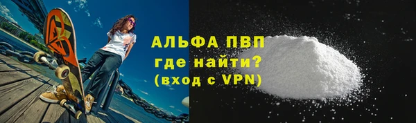 винт Ельня