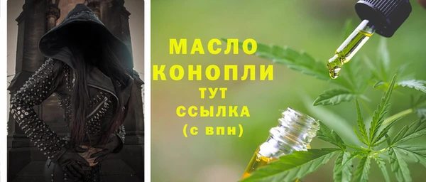 винт Ельня