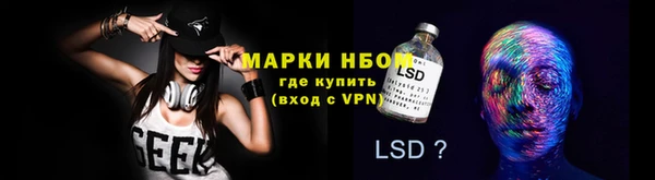 винт Ельня
