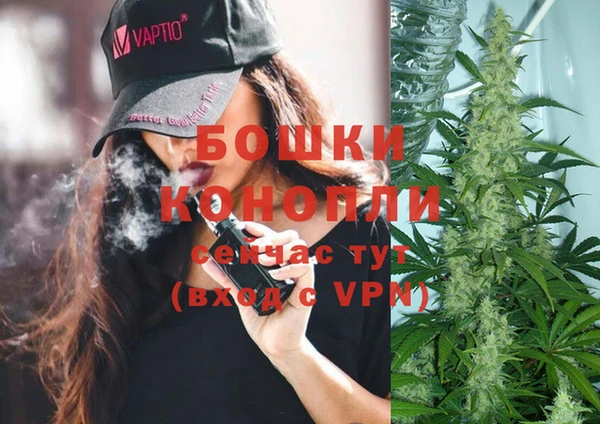 СК Усмань