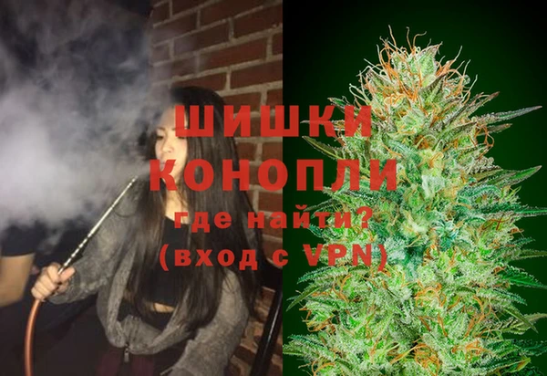 дживик Елизово
