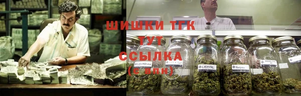 тгк Елабуга