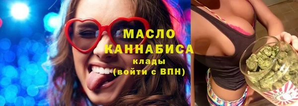 винт Ельня