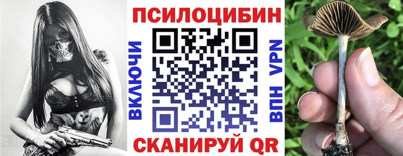 где купить   Тюмень  Галлюциногенные грибы GOLDEN TEACHER 